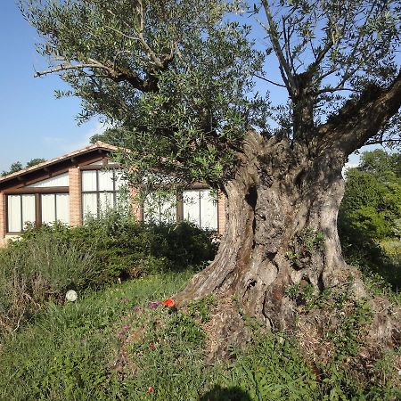 Chalet Domaine De Combe Ramond Hotel Veilhes Exterior photo