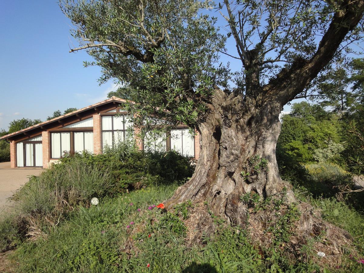 Chalet Domaine De Combe Ramond Hotel Veilhes Exterior photo